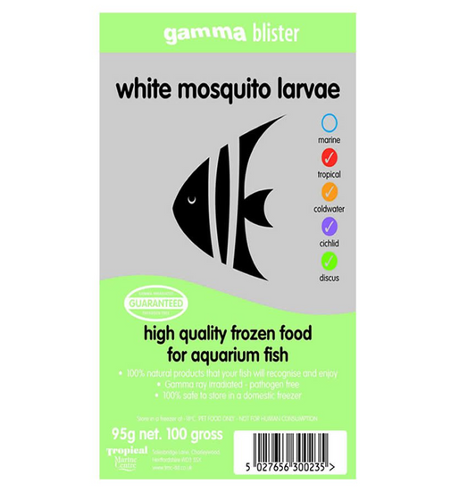 Gamma Blister White Mosquito Larvae